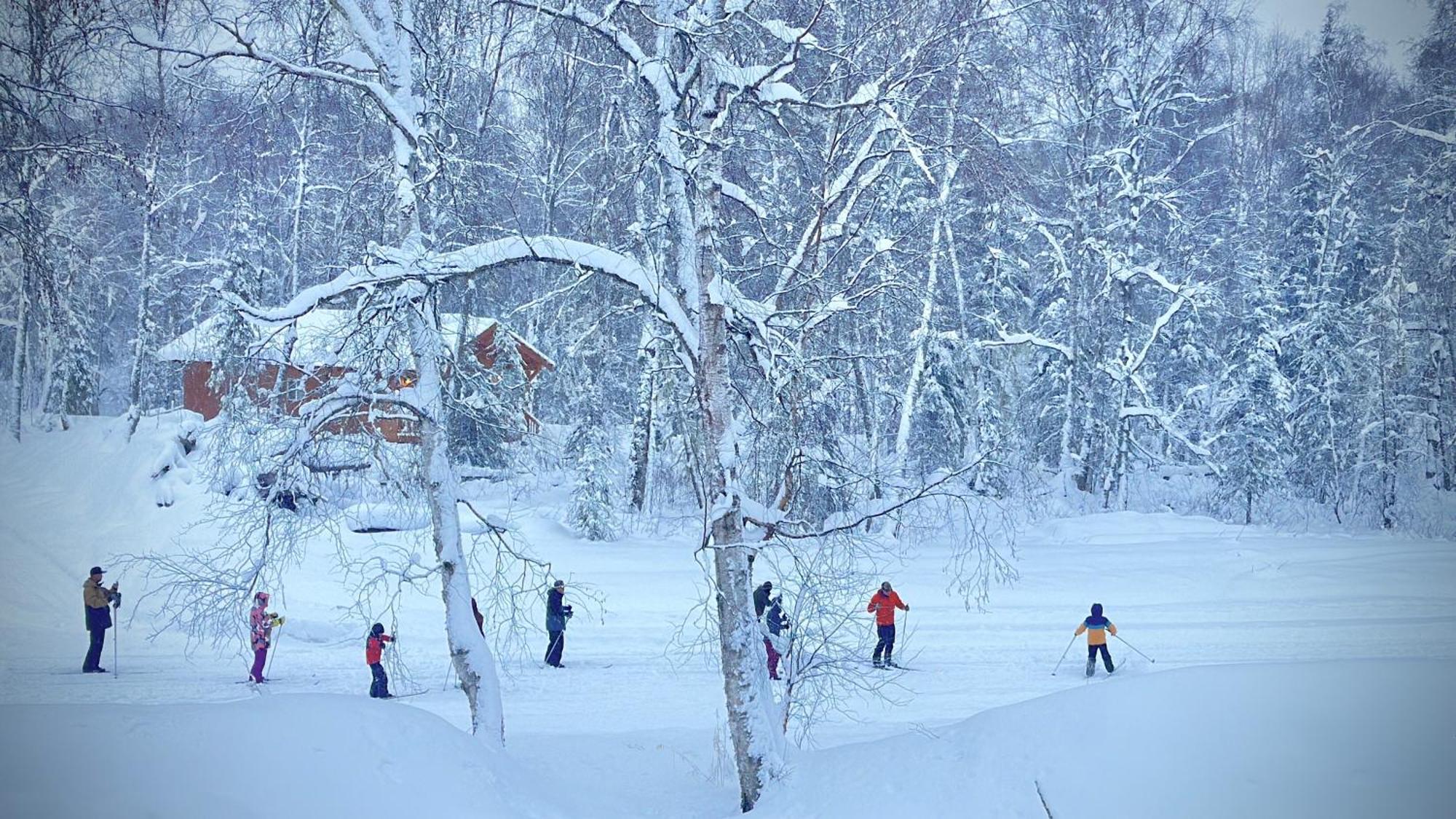Talkeetna Aerie Adventure Lodge Exterior photo